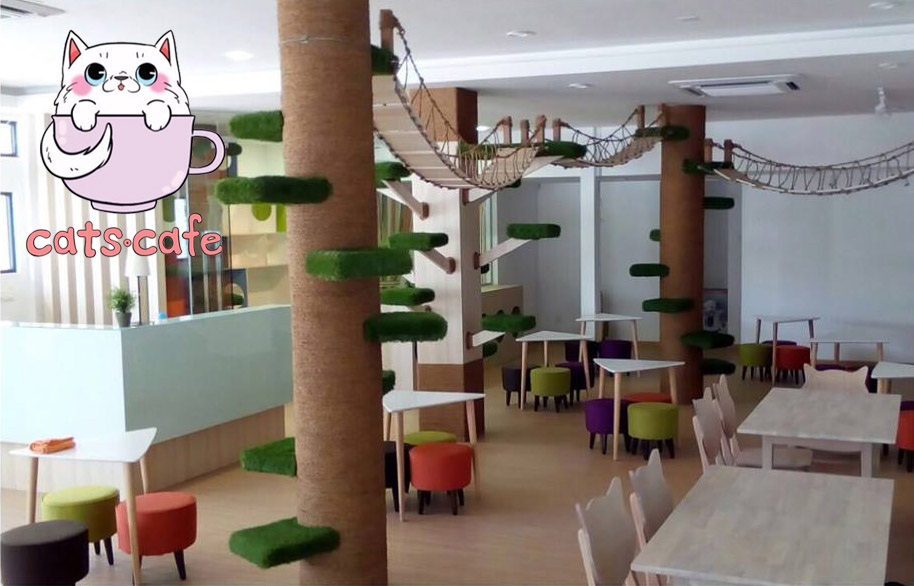 Kawasan Lynn Damya Kafe Kucing Cats Cafe di JB