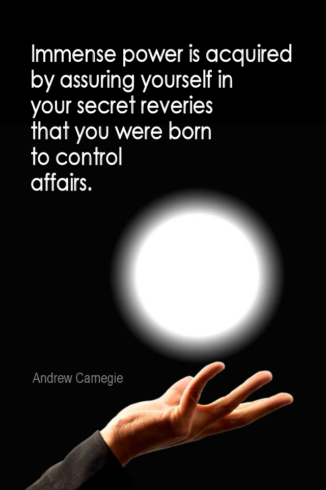 visual quote - image quotation for CONFIDENCE - Immense power is acquired by assuring yourself in your secret reveries that you were born to control affairs. - Andrew Carnegie