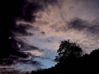 A dark tree stands out against the sky,as very dark clouds seem ti threaten.