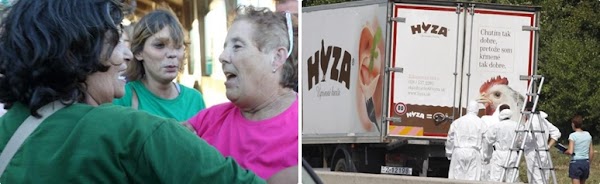Entre la alegría y el drama Entre la alegría y el drama