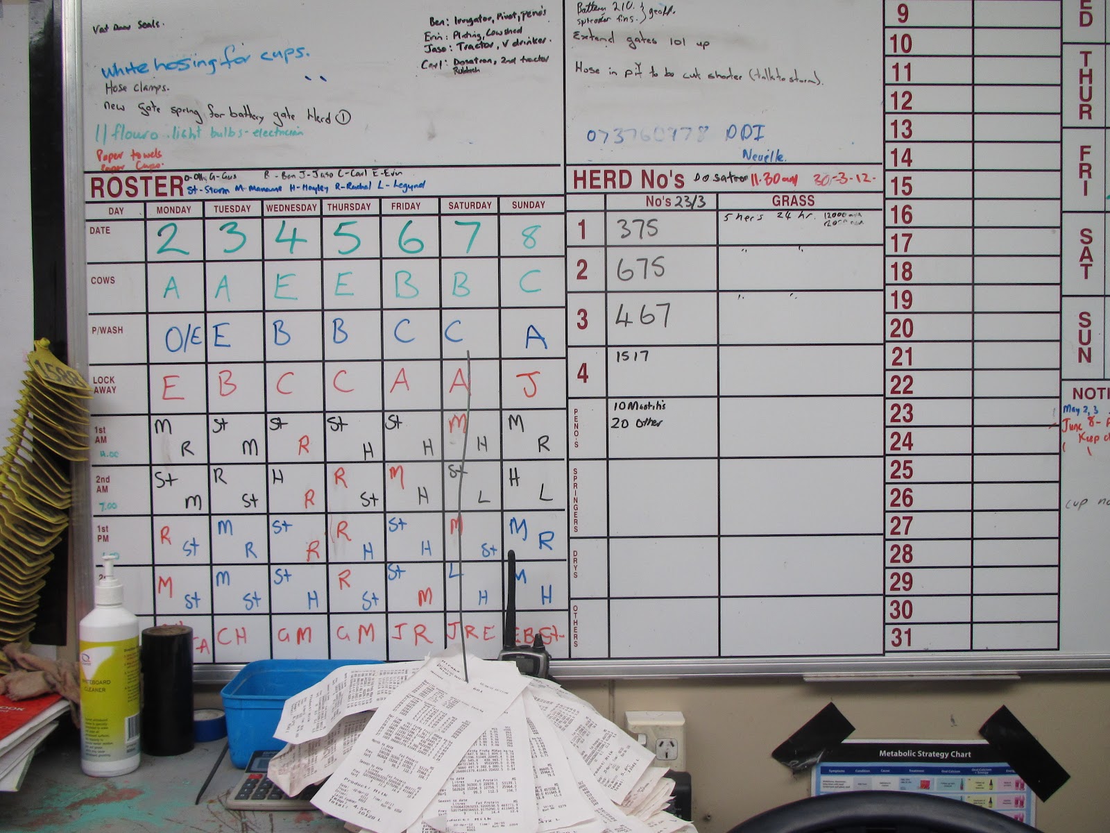 Pasture to Profit Genius A Dairy Farm Team Whiteboard