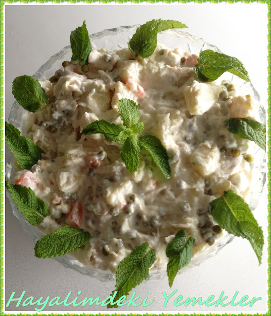 resimli ve degisik salata tarifleri