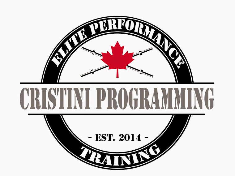 Cristini Programming 