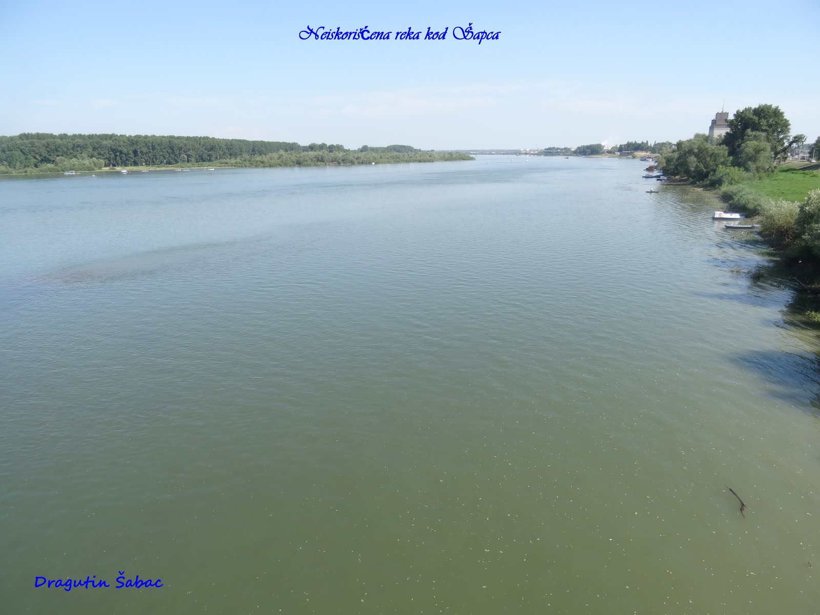 Река Сава код Шапца широка је као језеро