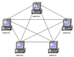 topologi mesh