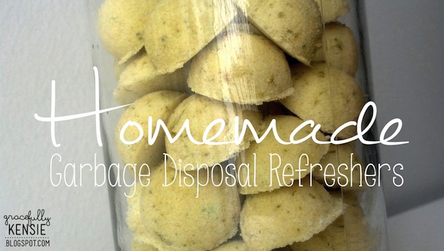 Gracefully Kensie: Homemade Garbage Disposal Refreshers