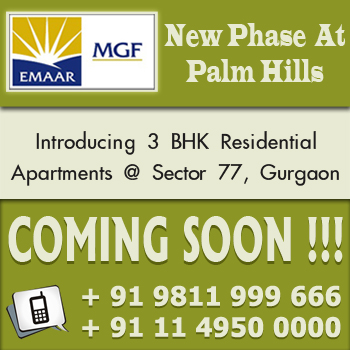 mgf palm hills