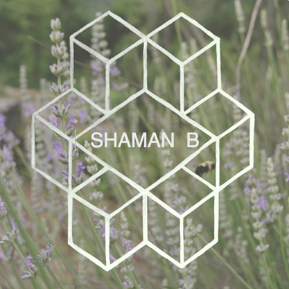 shaman king streaming vf