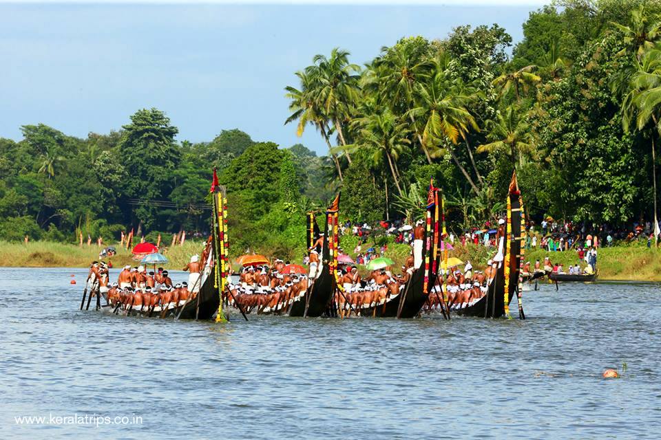 drawing of boat race in kerala aranmula boat race kerala trips drawing of boat race in kerala aranmula boat race kerala trips