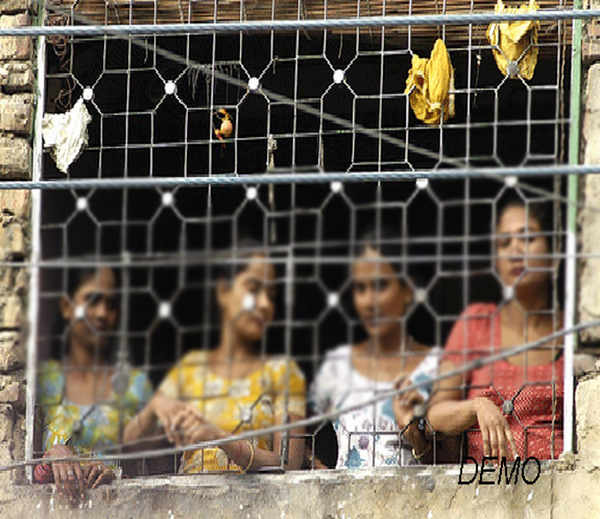 Amazing Funny Pictures