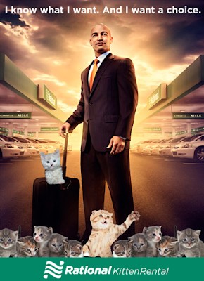 car rental cat