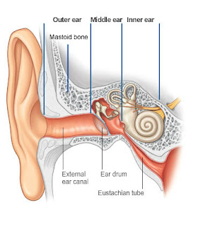 A northerner lost in London: October 2015