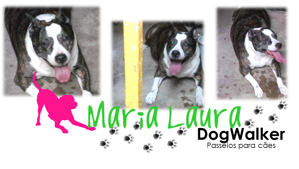 Maria Laura ~ Dog Walker