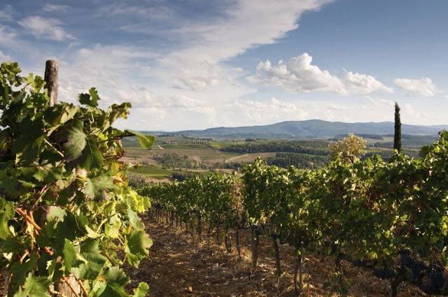 The+world%27s+top+10+wine+destinations.jpg