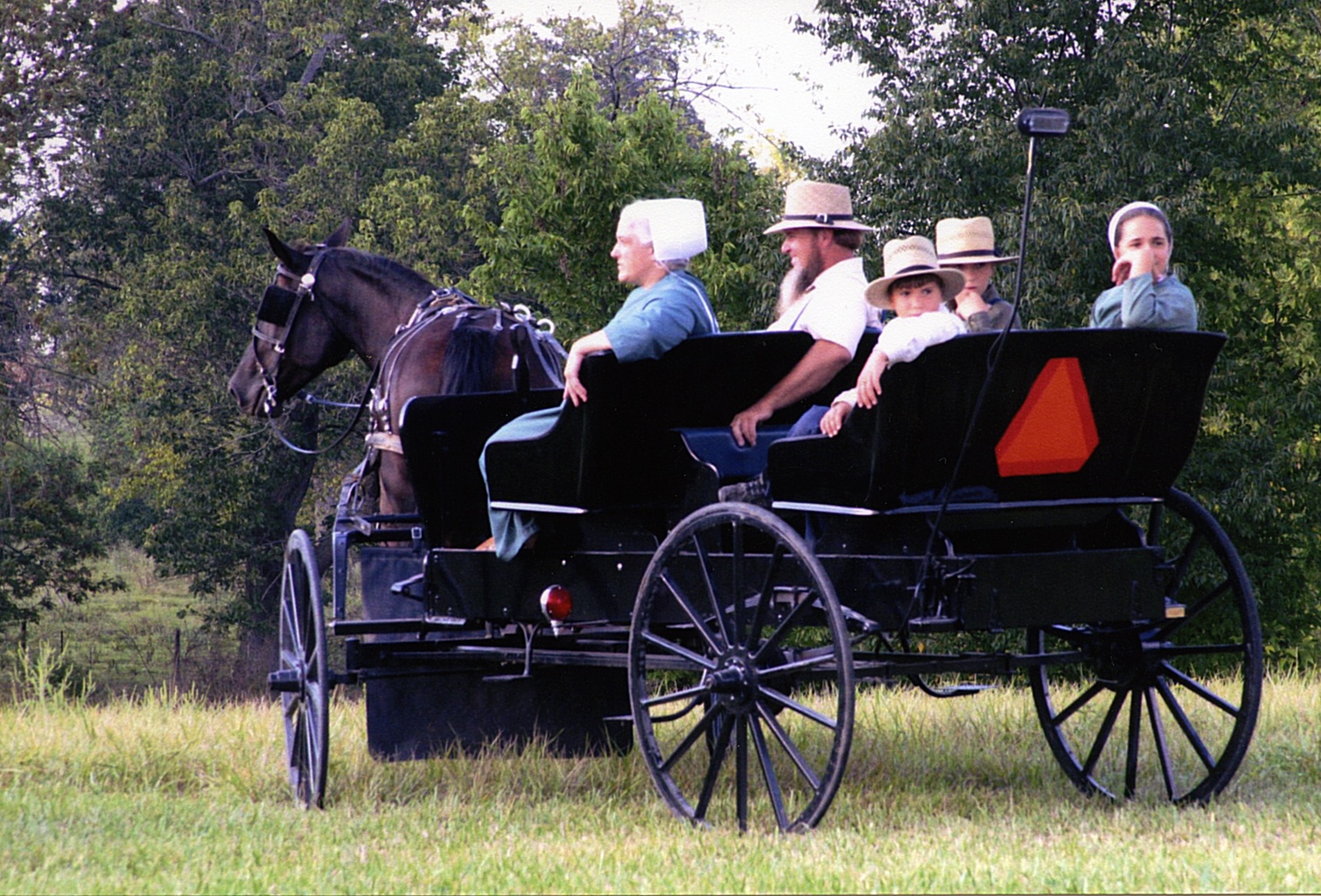 The Book Scout: Guest Post: Karen Ann Hopkins on Growing Up Amish