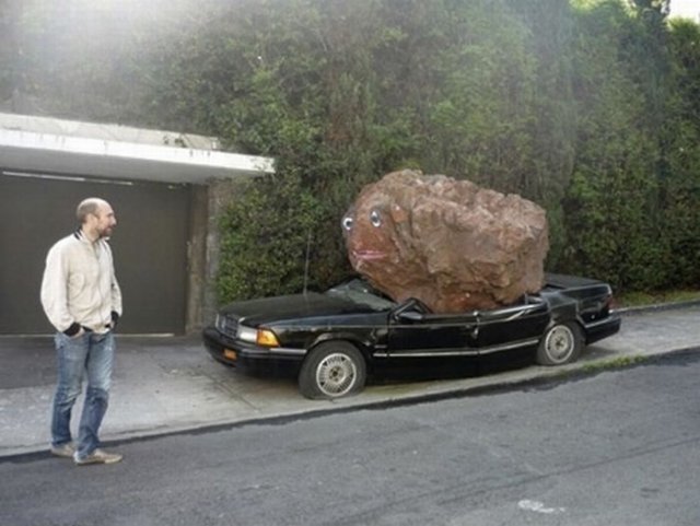 Daily Random Funny Photos random funny pictures. Daily Random Funny Photos