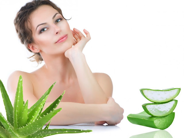 Cách trị mụn bằng Nha Đam an toàn mà hiệu quả Cách trị mụn bằng Nha Đam an toàn mà hiệu quả
