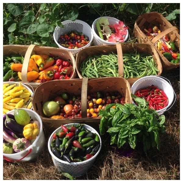 Heart and Sole Food FarmtoTable Restaurant Reservations More Than a