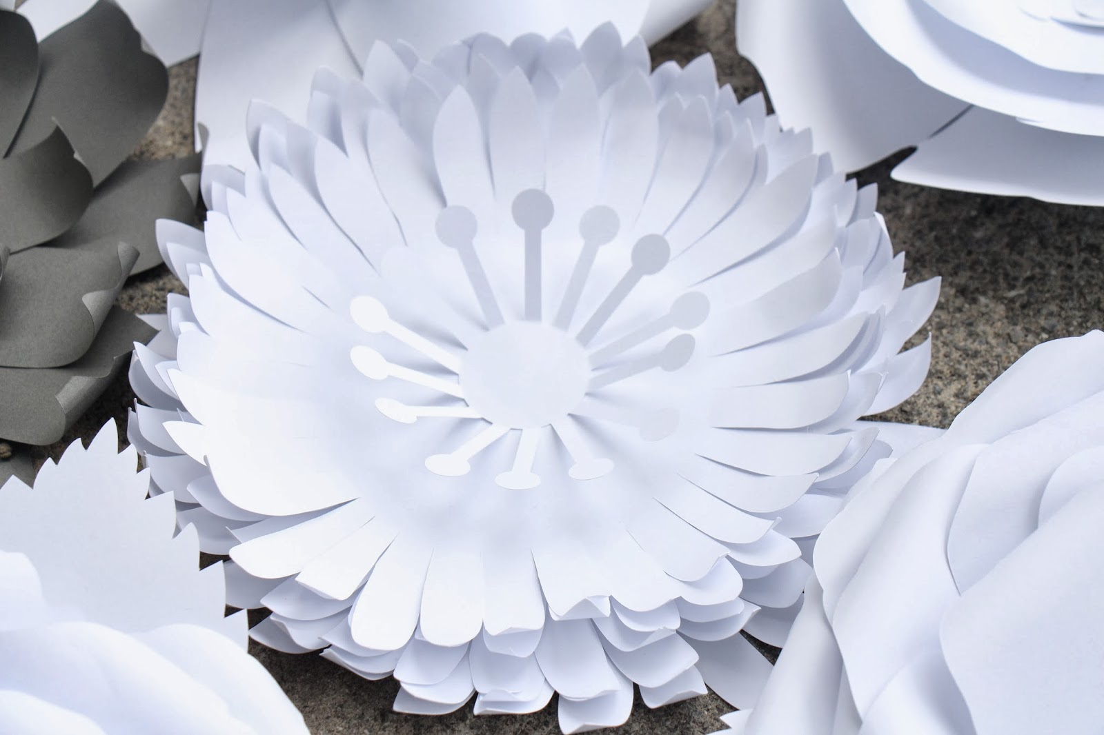 Grosgrain Paper Flower Wall with Silhouette Patterns