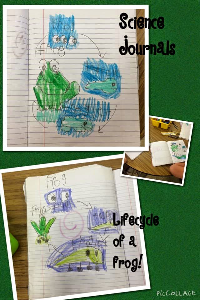 My Kindergarten Kids: Science Journals