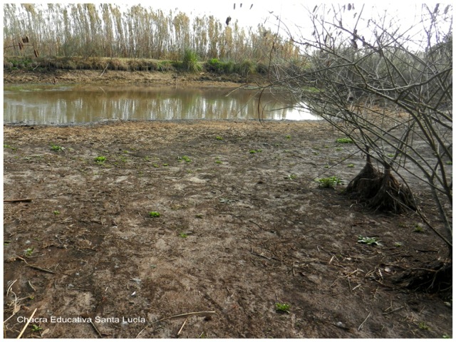 El tajamar chico luego de las primeras lluvias 6/8 - Chacra Educativa Santa Lucía El tajamar chico luego de las primeras lluvias 6/8 - Chacra Educativa Santa Lucía