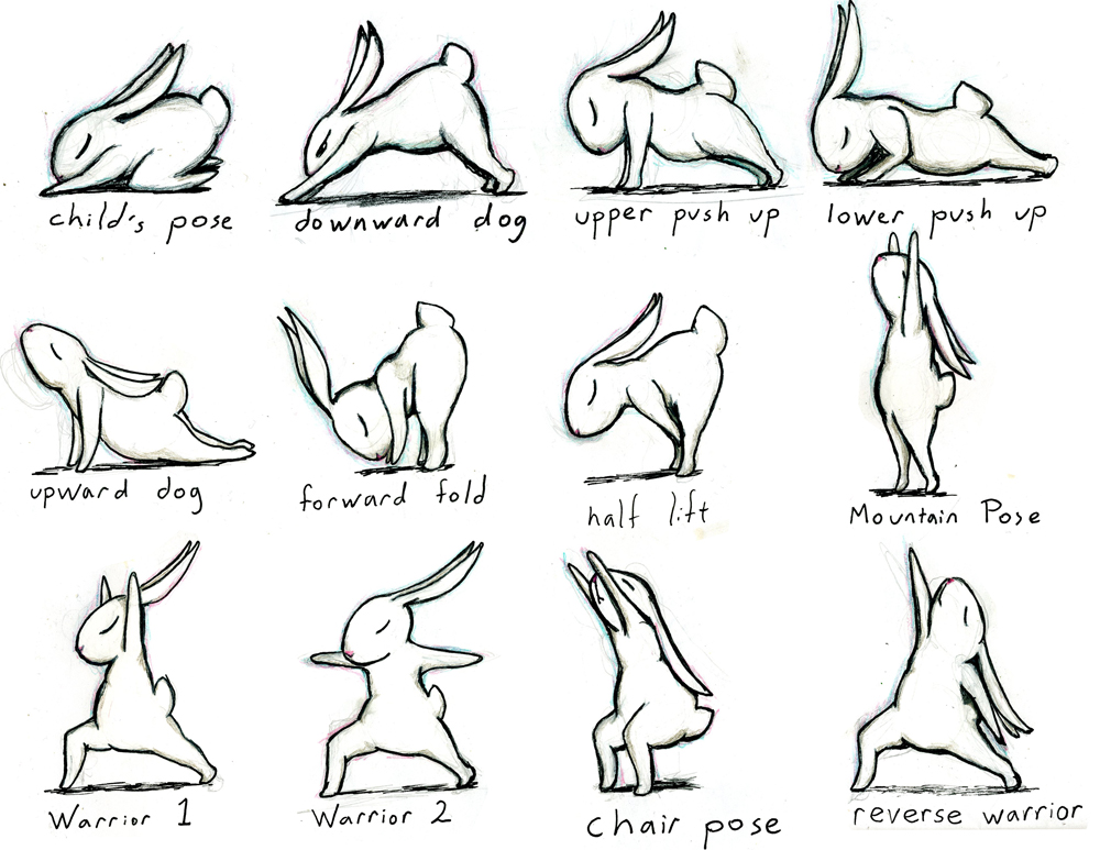 Yoga Bunny