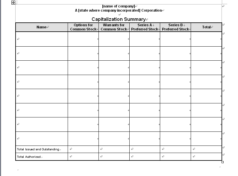 <strong>Stock Transfer Ledger</strong> - <strong>Corporate</strong> Kit, LLC kit, LLC ... Corporate stock ledger template