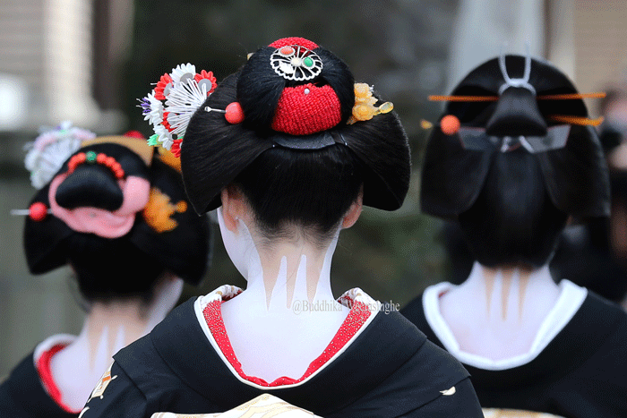 Geisha culture