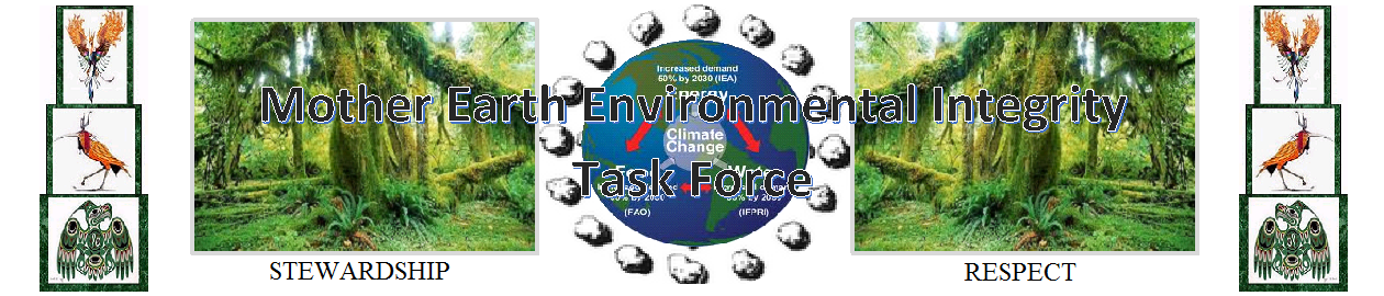 Mother Earth Environmental Integrity Task Force