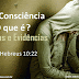 Má Consciência: O Que É, Causas E Evidências