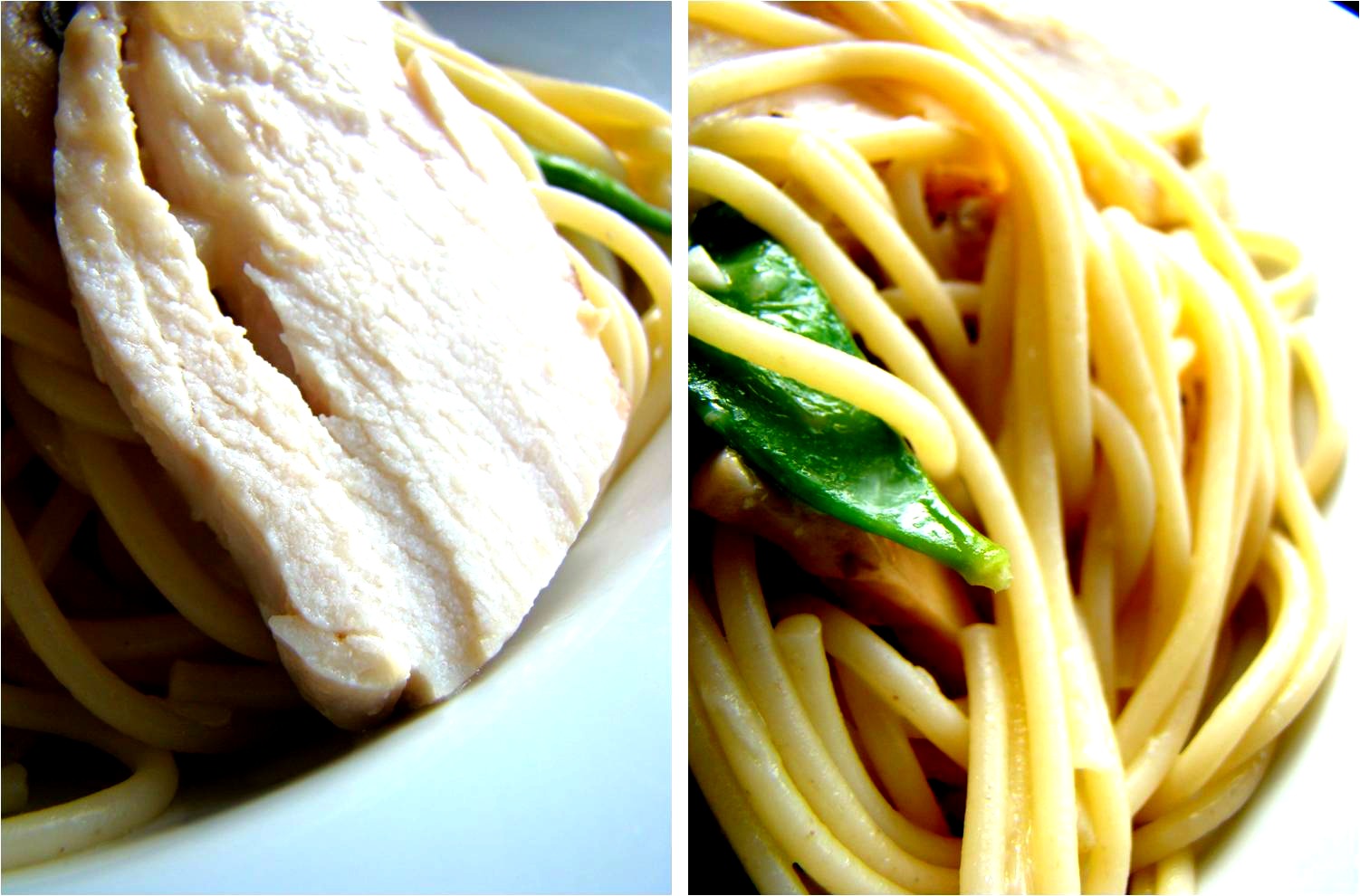 Spaghetti with chicken in white wine parmesan sauce