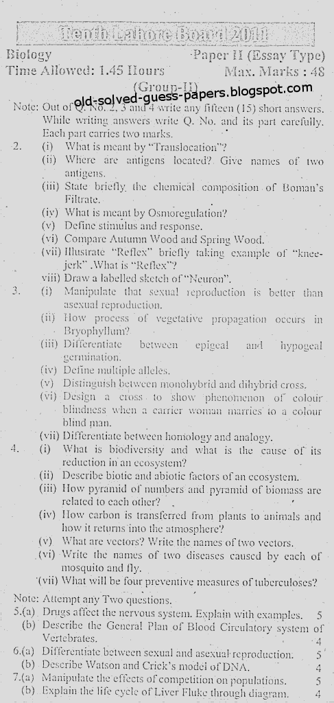 essay on group work