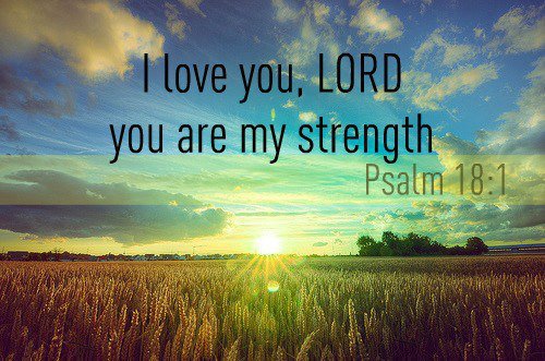 Download HD Christmas & New Year 2017 Bible Verse Greetings Card ... Download HD Christmas & New Year 2017 Bible Verse Greetings Card ...