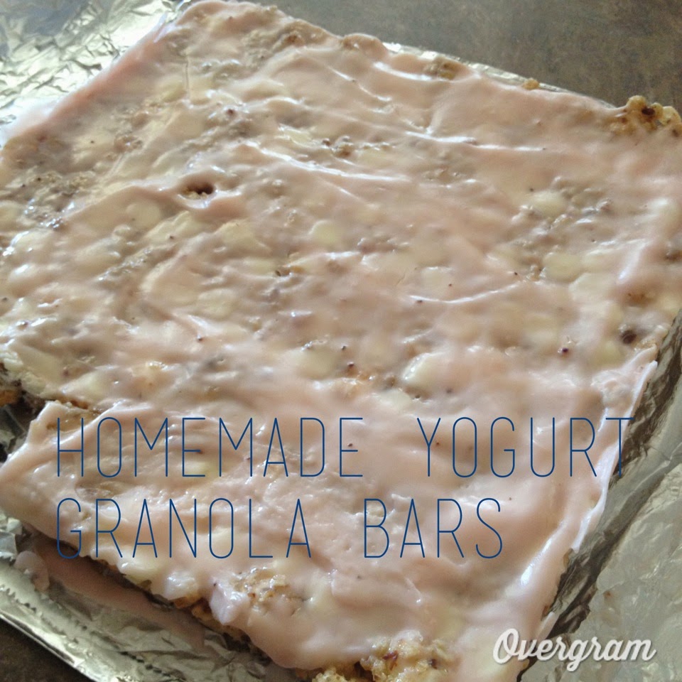 A Healthy Tree Delish! Homemade Yogurt Granola Bars!