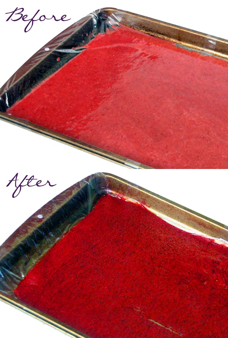 SweeterThanSweets Homemade Fruit Leather