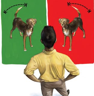tail wags dog