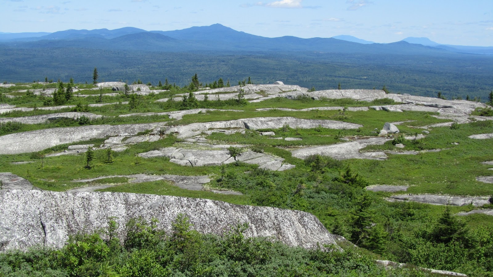 Tomcat's Outdoor Adventures Moxie Bald Mountain Blueberry Feast
