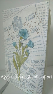 Stampin' Up! Butterfly Basics stamp set