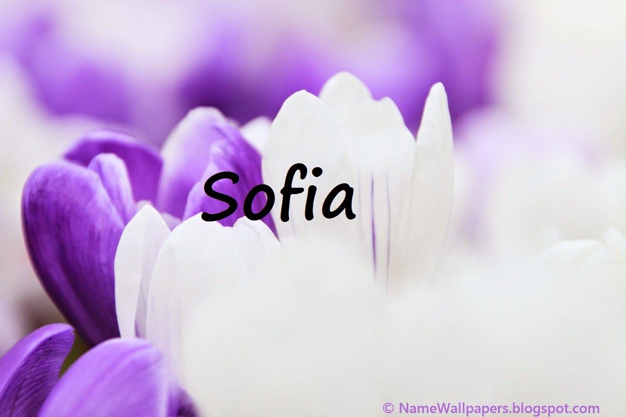 Sofia Name Wallpapers Sofia ~ Name Wallpaper Urdu Name Meaning Name