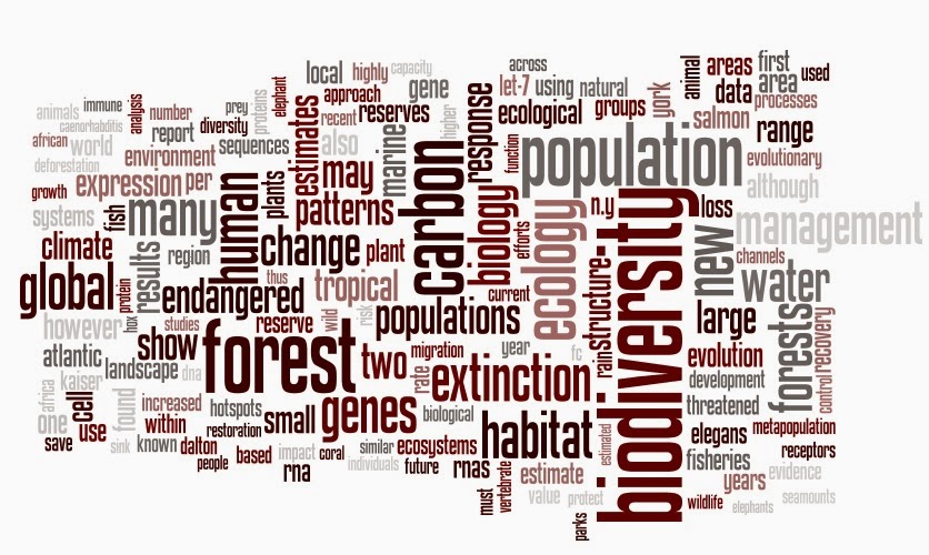 Biodiversity Word Cloud