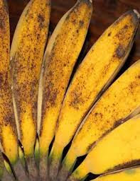 Resep Puding Pisang Enak Resep Puding Pisang Enak