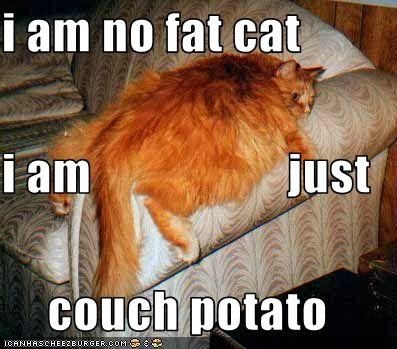 Ar Foodie Files I M Pretty Much A Couch Potato Ore Ida And Me