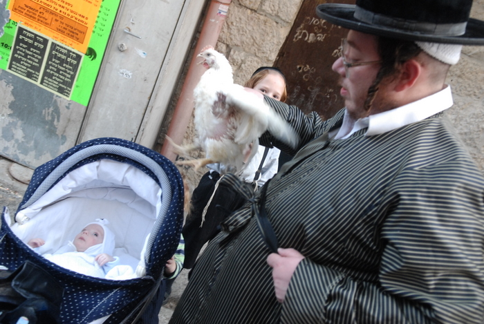 Shearim: Picture of the Day