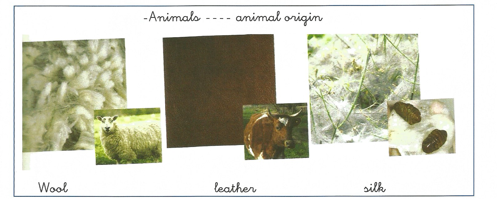 ¡Ya estamos en primaria! Where do materials come from? ( ¿De dónde proceden los materiales?)