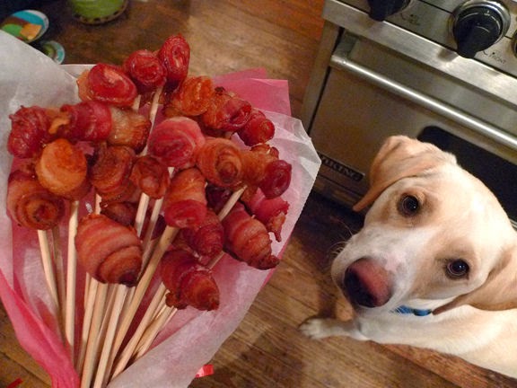 Cachorro pode comer bacon?