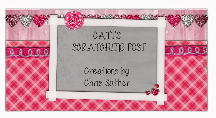 Catt's Scratching Post