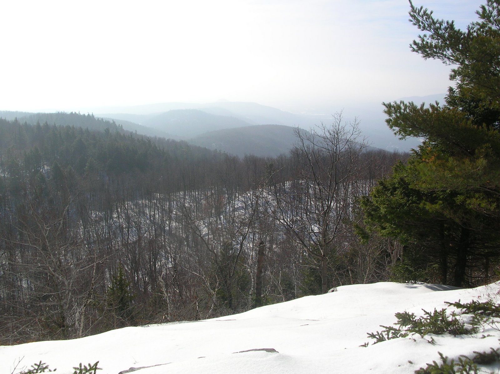 Off on Adventure Pilot Knob Mountain 11/25/11