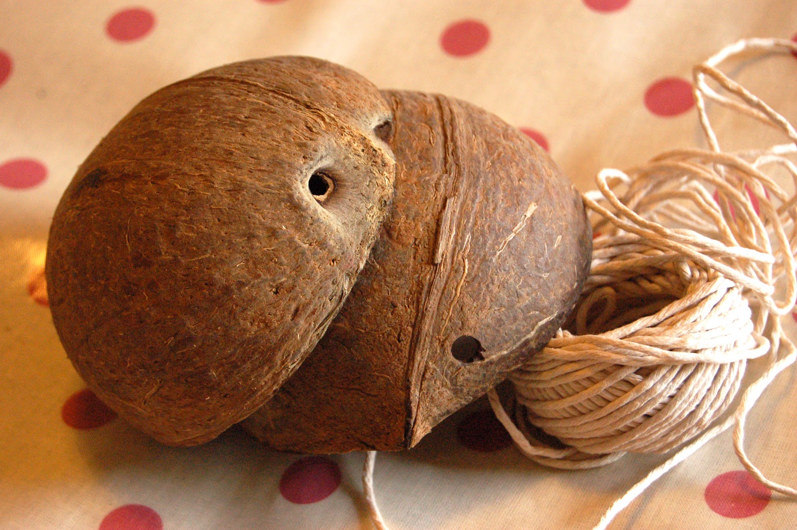 Paper Yak How to make a Coconut Bra [Photo Heavy]