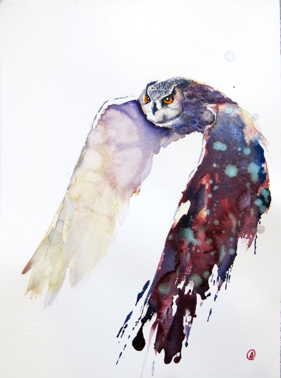 As belas pinturas em aquarela de aves de Daniel Luther Daniel Luther pinturas aquarelas cores pássaros corujas espacial