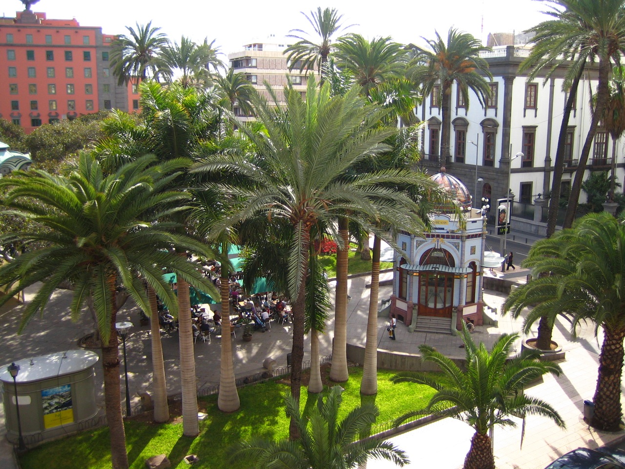 VER LAS PALMAS ver las palmas: